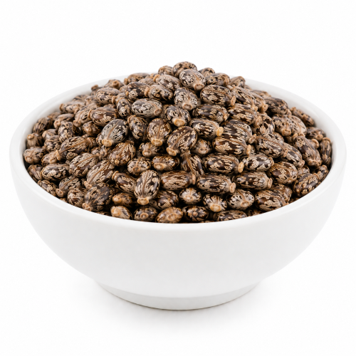 Castor Seeds